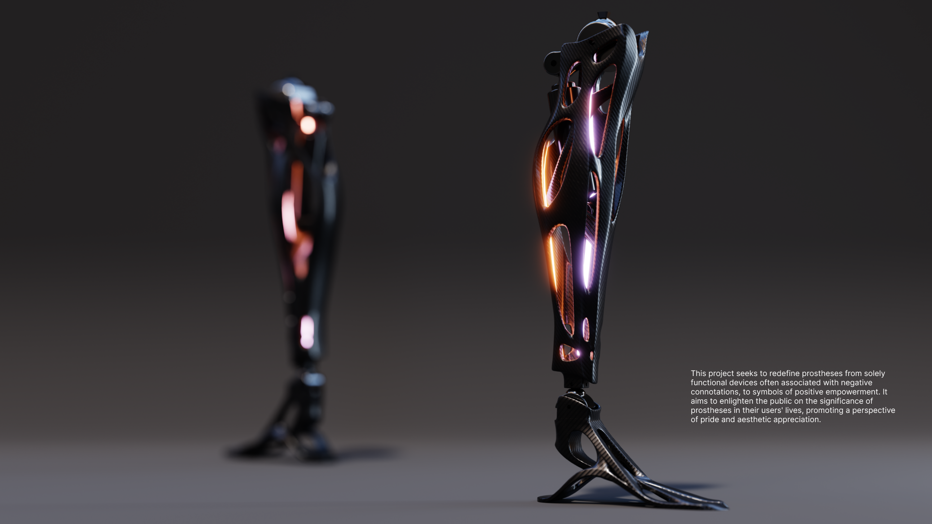 PROSTHESIS Image 1